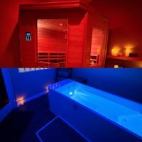 InfraRed Sauna OR Cold Plunge Suites — 12 Month Membership